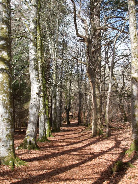 Craik Na Dav B&B Invermoriston Zewnętrze zdjęcie