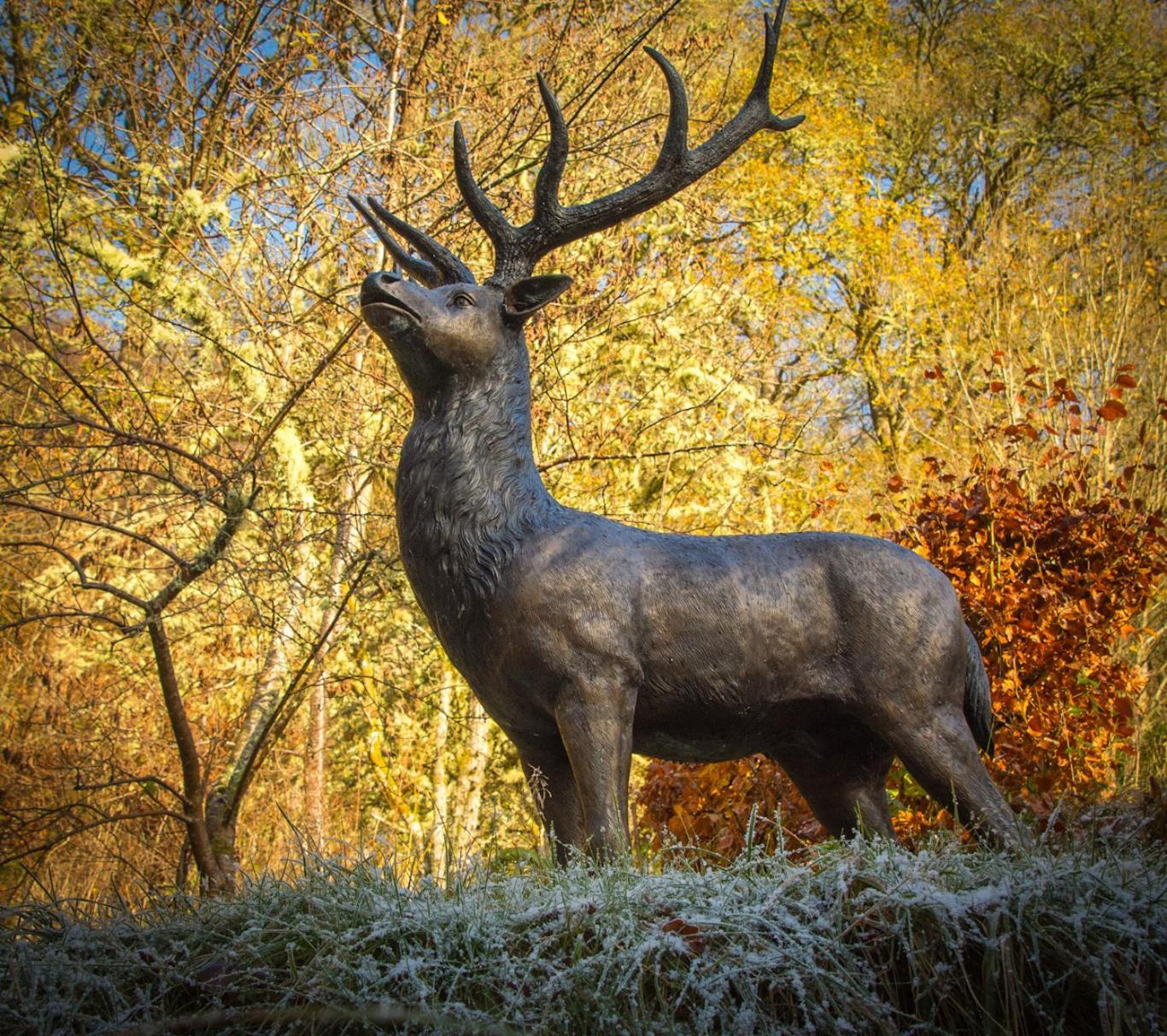 Craik Na Dav B&B Invermoriston Zewnętrze zdjęcie