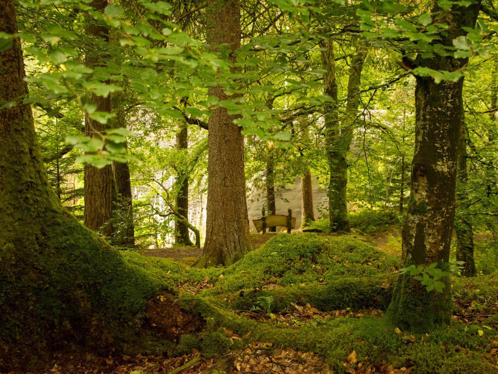Craik Na Dav B&B Invermoriston Zewnętrze zdjęcie