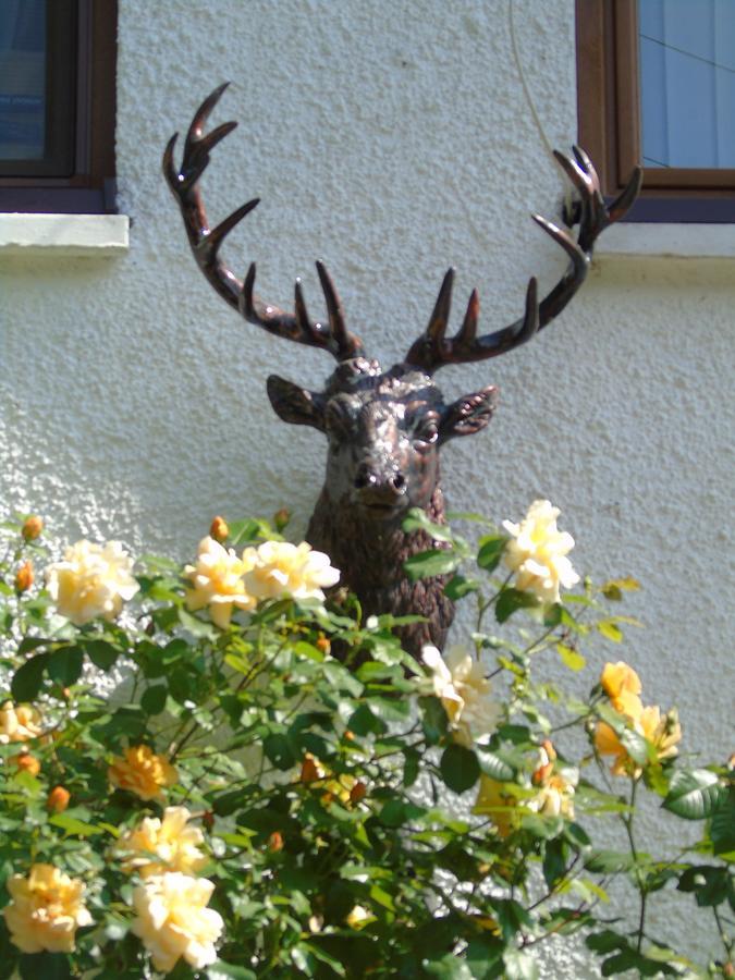 Craik Na Dav B&B Invermoriston Zewnętrze zdjęcie